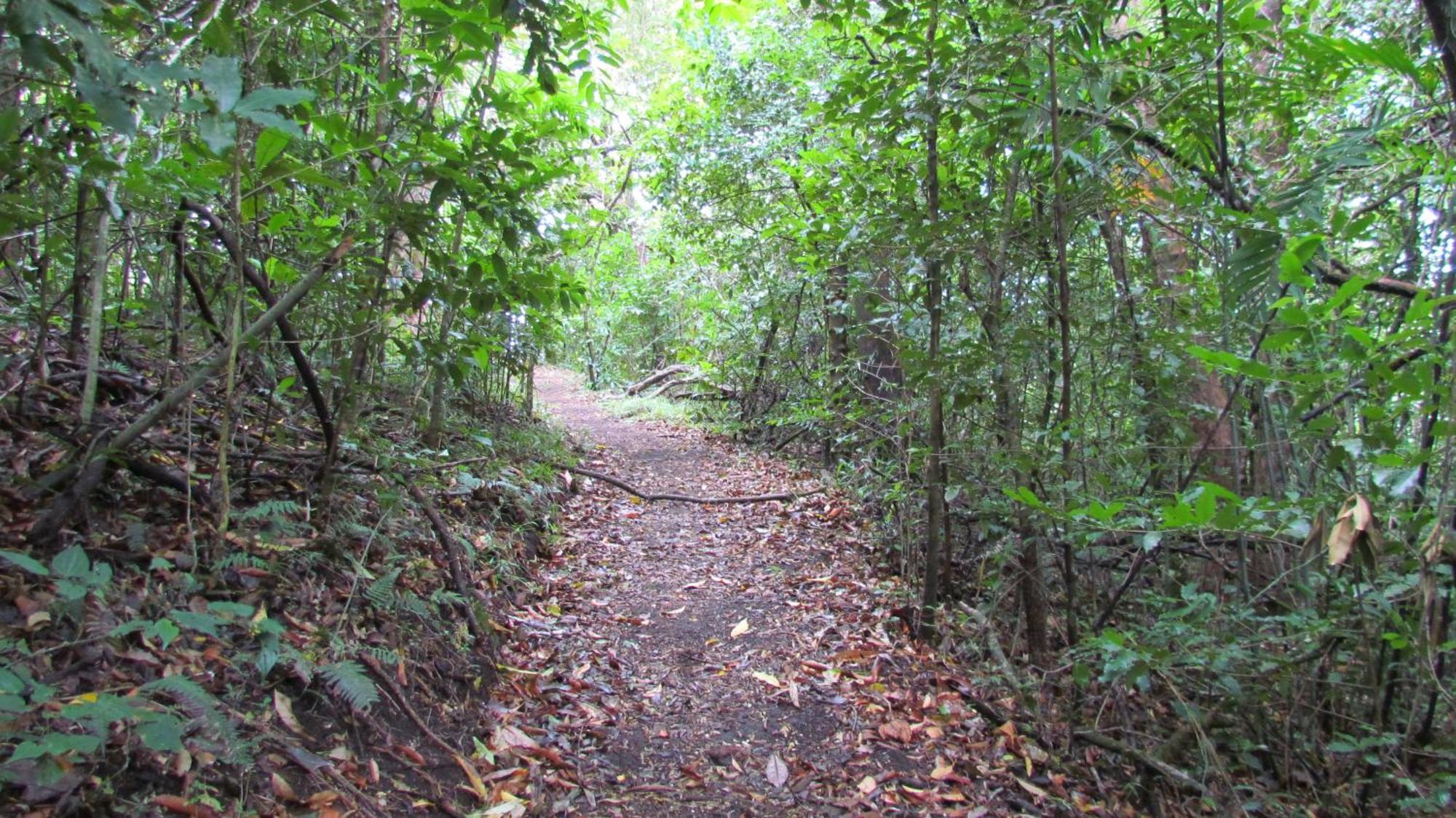Santuario Ecologico الجبل الأخضر المظهر الخارجي الصورة