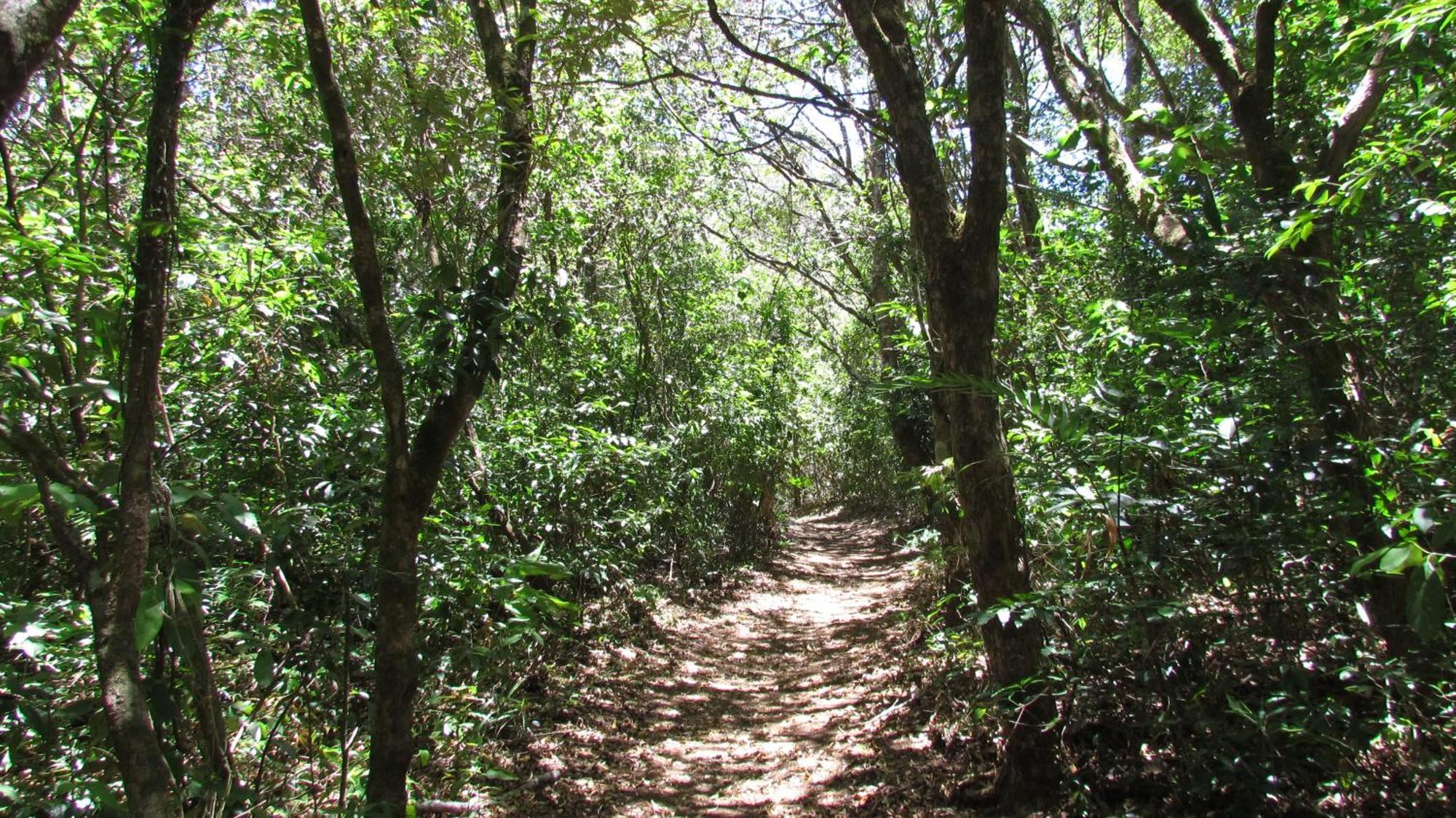 Santuario Ecologico الجبل الأخضر المظهر الخارجي الصورة