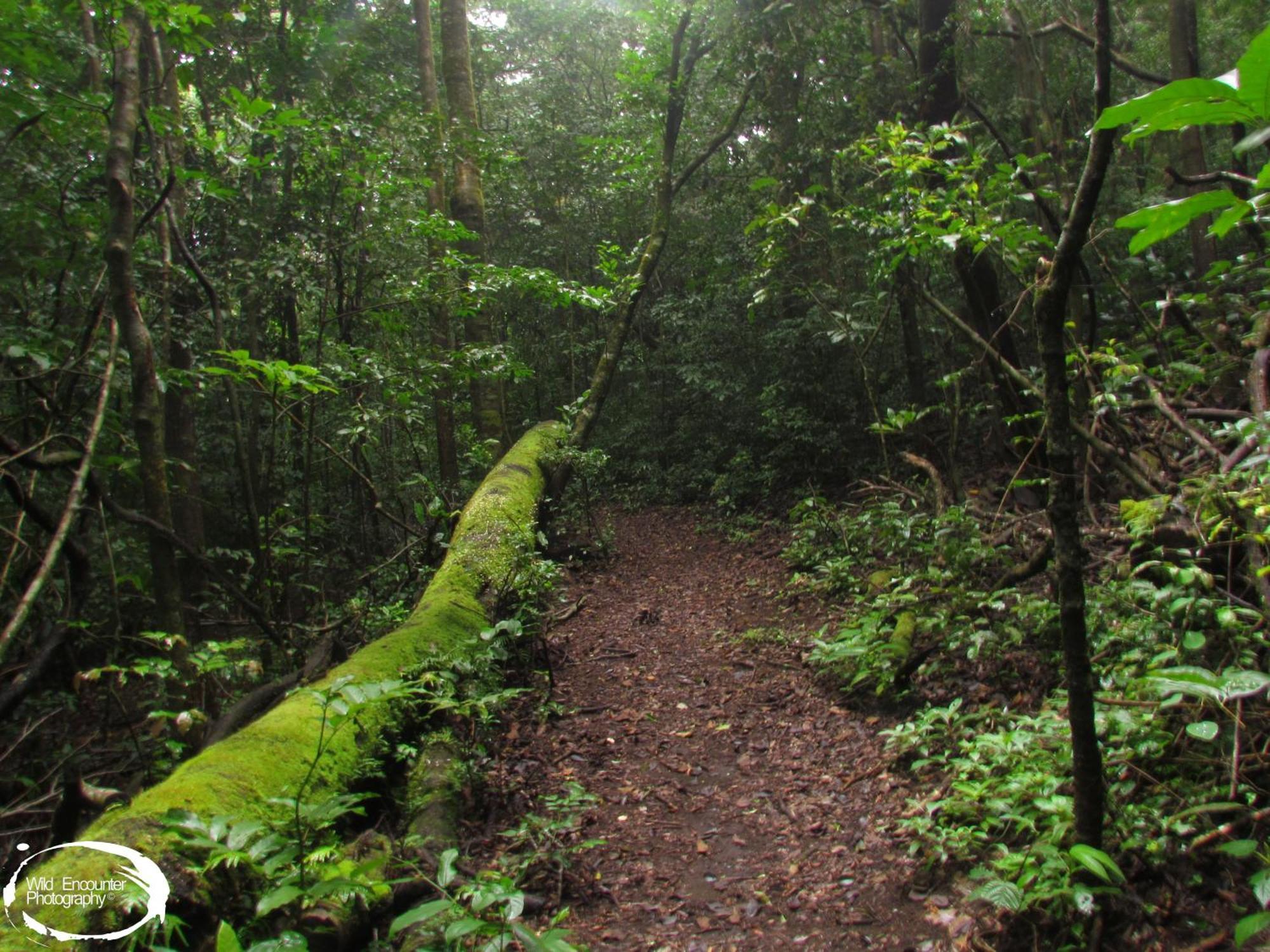 Santuario Ecologico الجبل الأخضر المظهر الخارجي الصورة